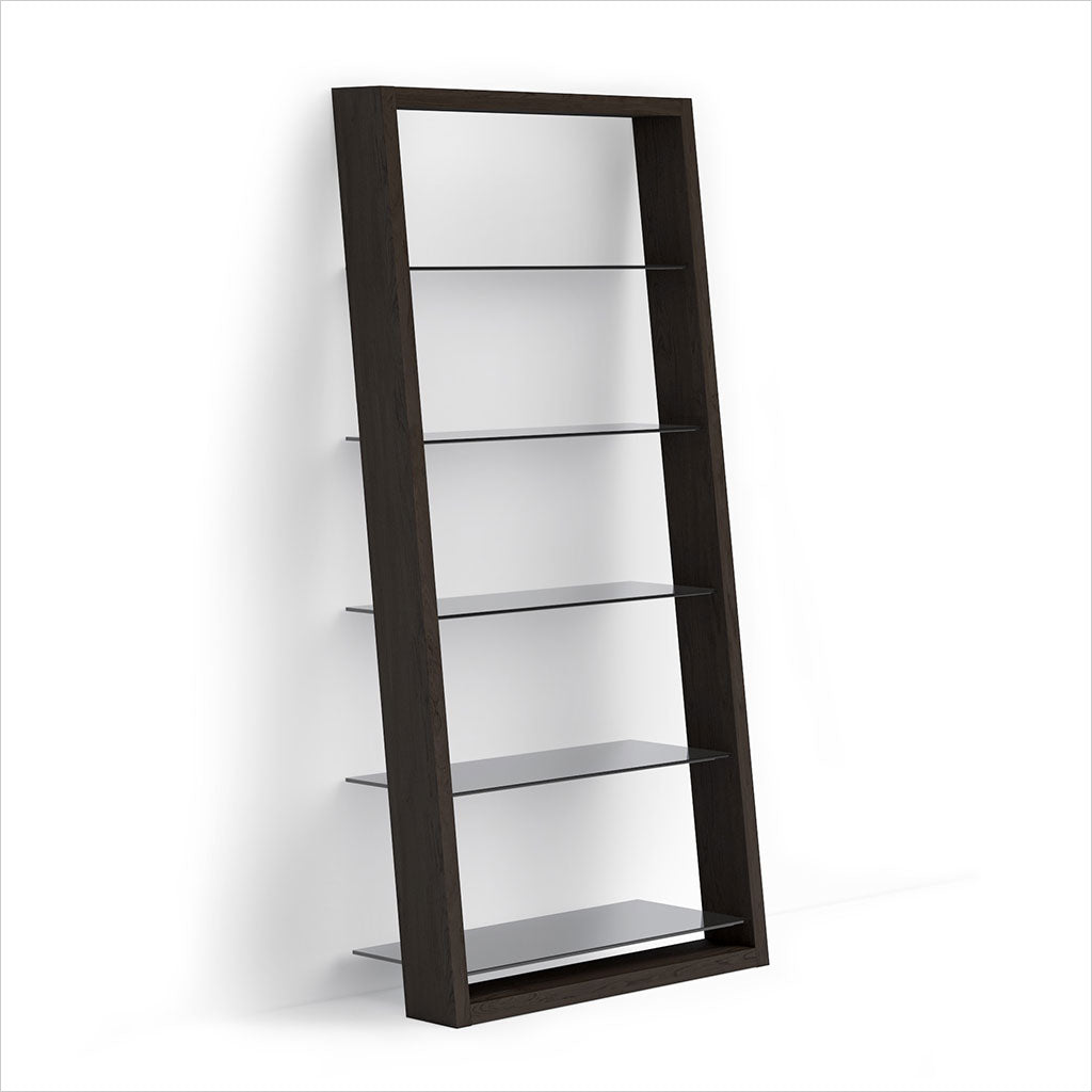 Narrow black store bookcase with doors