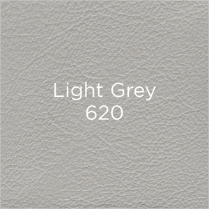 light grey leather swatch